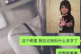 双柏企业清欠服务