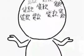 双柏融资清欠服务